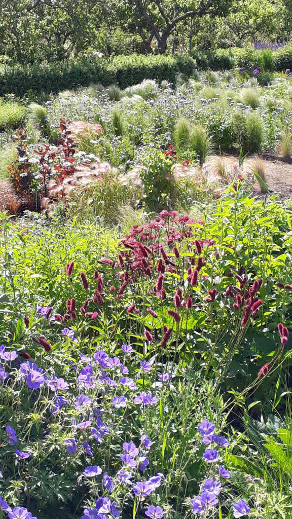 Gartenreise Schottland - Scotland for Gardeners