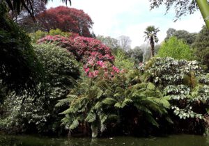 Gartenreise England - Cornwall 2023