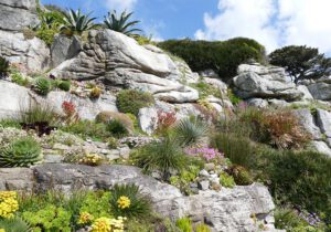 Gartenreise England - Cornwall 2023