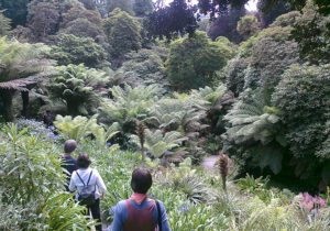 Gartenreise England - Cornwall 2023