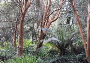 Gartenreise England - Cornwall 2023