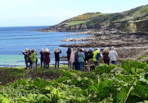 Gartenreise England - Cornwall 2023