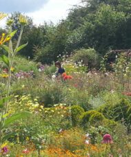 Gartenreise Frankreich - Zauberhafte Gartenjuwele in der Normandie und Bretagne 2022