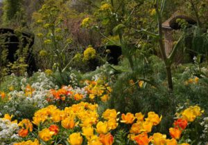 Gartenreise England – Frühling in Cornwall, Devon und Somerset 2022