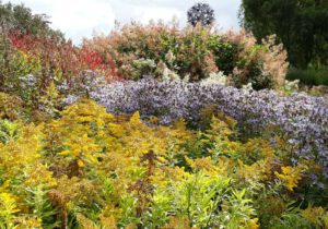 Gartenreise England - Spätsommertage in East Anglia 2022