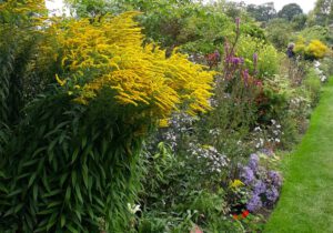 Gartenreise England - Spätsommertage in East Anglia 2022