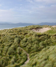 Gartenreise Irland
