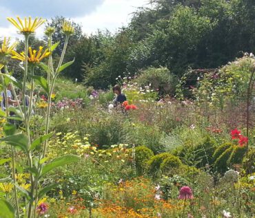 Gartenreise Frankreich - Zauberhafte Gartenjuwele in der Normandie und Bretagne 2022