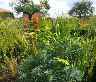 Gartenreise Frankreich - Zauberhafte Gartenjuwele in der Normandie und Bretagne 2022