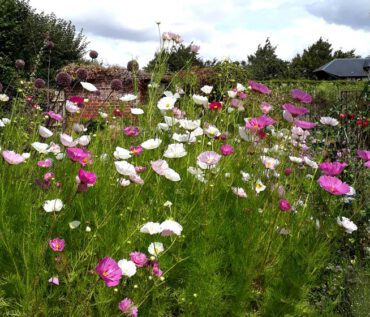 Gartenreise Frankreich - Zauberhafte Gartenjuwele in der Normandie und Bretagne 2022