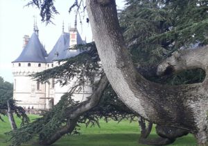 Gartenreise Frankreich - Genießen wie Gott in Frankreich / Feuerwerk der Farben an der Loire 2022