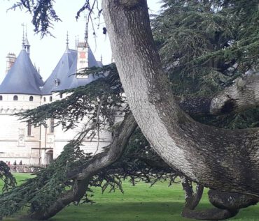 Gartenreise Frankreich - Genießen wie Gott in Frankreich / Feuerwerk der Farben an der Loire 2022