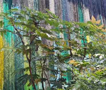 Gartenreise Frankreich - Genießen wie Gott in Frankreich / Feuerwerk der Farben an der Loire 2022