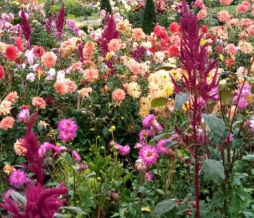 Gartenreise Frankreich - Genießen wie Gott in Frankreich / Feuerwerk der Farben an der Loire 2022