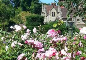 Gartenreise England – Schwelgen im Duft der Rosen 2022