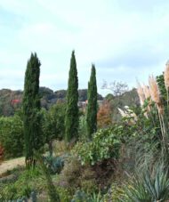 Gartenreise Österreich - Herbstfarbige Gartenerlebnisse und kulinarische Genüsse in der Steiermark