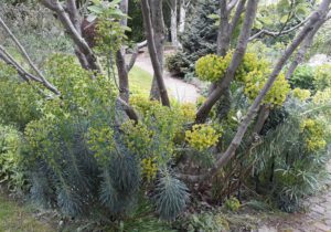 Gartenreise Frankreich – Elsass und Vogesen 2023