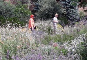Gartenreise Frankreich – Elsass und Vogesen 2023
