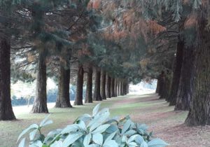 Gartenreise Frankreich – Elsass und Vogesen 2023