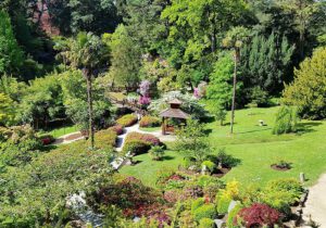 Gartenreise Irland 2023