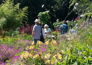 Gartenreise Irland 2023