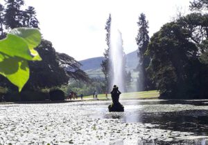 Gartenreise Irland 2023