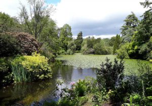 Gartenreise Irland 2023