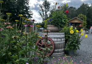 Gartenreise Spätsommer in Stockholm, Göteborg und in Schwedens Gärten