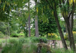 Gartenreise Spätsommer in Stockholm, Göteborg und in Schwedens Gärten