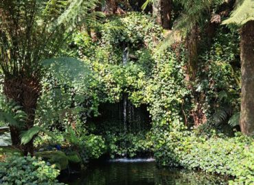 Gartenreise nach Cornwall mit Devon (Dartmoor), Exeter und Südostengland 2026