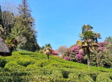 Gartenreise nach Cornwall mit Devon (Dartmoor), Exeter und Südostengland 2026