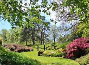 Gartenreise nach Cornwall mit Devon (Dartmoor), Exeter und Südostengland 2026