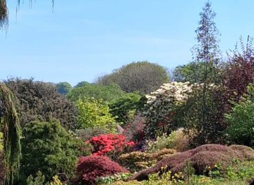 Gartenreise nach Cornwall mit Devon (Dartmoor), Exeter und Südostengland 2026