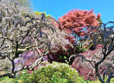 Gartenreise nach Cornwall mit Devon (Dartmoor), Exeter und Südostengland 2026