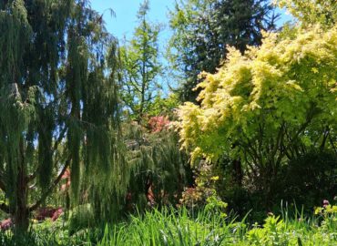 Gartenreise nach Cornwall mit Devon (Dartmoor), Exeter und Südostengland 2026