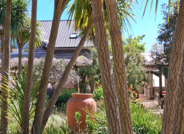 Gartenreise nach Cornwall mit Devon (Dartmoor), Exeter und Südostengland 2026