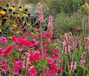 Gartenreise Belgien/Niederlande 2026