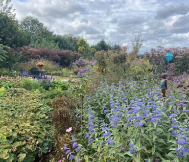 Gartenreise Belgien/Niederlande 2026