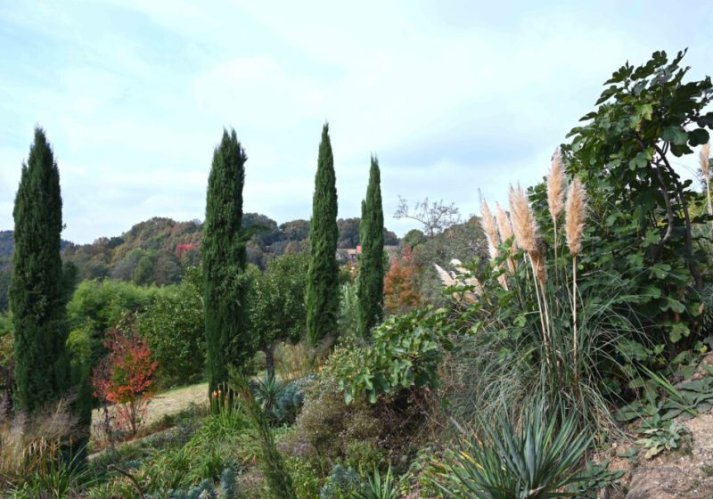 Gartenreise Österreich - Herbstfarbige Gartenerlebnisse und kulinarische Genüsse in der Steiermark